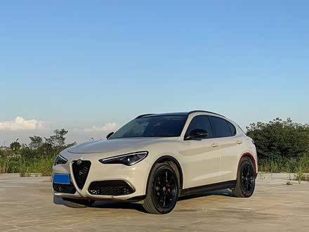 Stelvio斯坦维 2017款 2.0T 200HP 豪华版