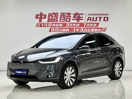 Model X 2019款 Performance 高性能版