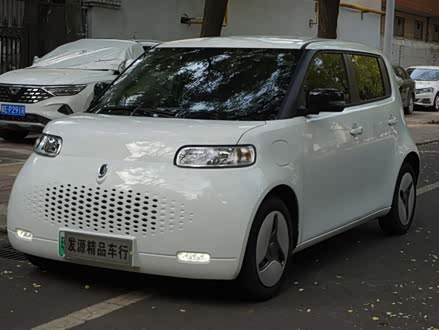 欧拉白猫 2020款 401km 长续航型
