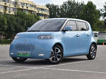 欧拉白猫 2020款 305km 豪华型