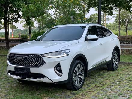 哈弗F7x 2021款 1.5T 两驱极智潮玩版