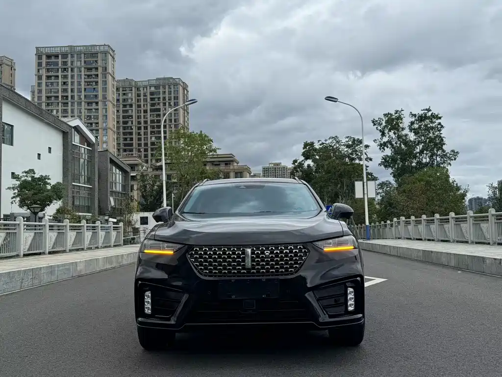 WEI PAI WEI BRAND VV7