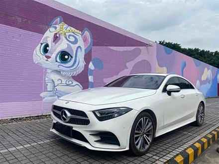 奔驰CLS 2018款 CLS 300 动感型