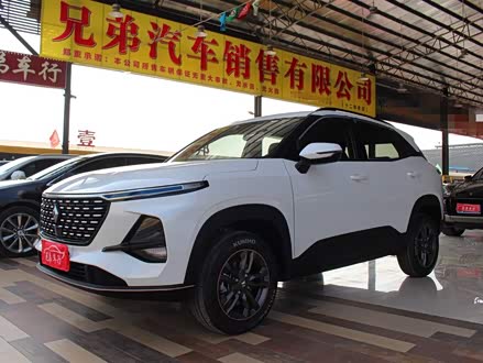 宝骏RS-3 2020款 1.5L CVT 24小时在线精英型