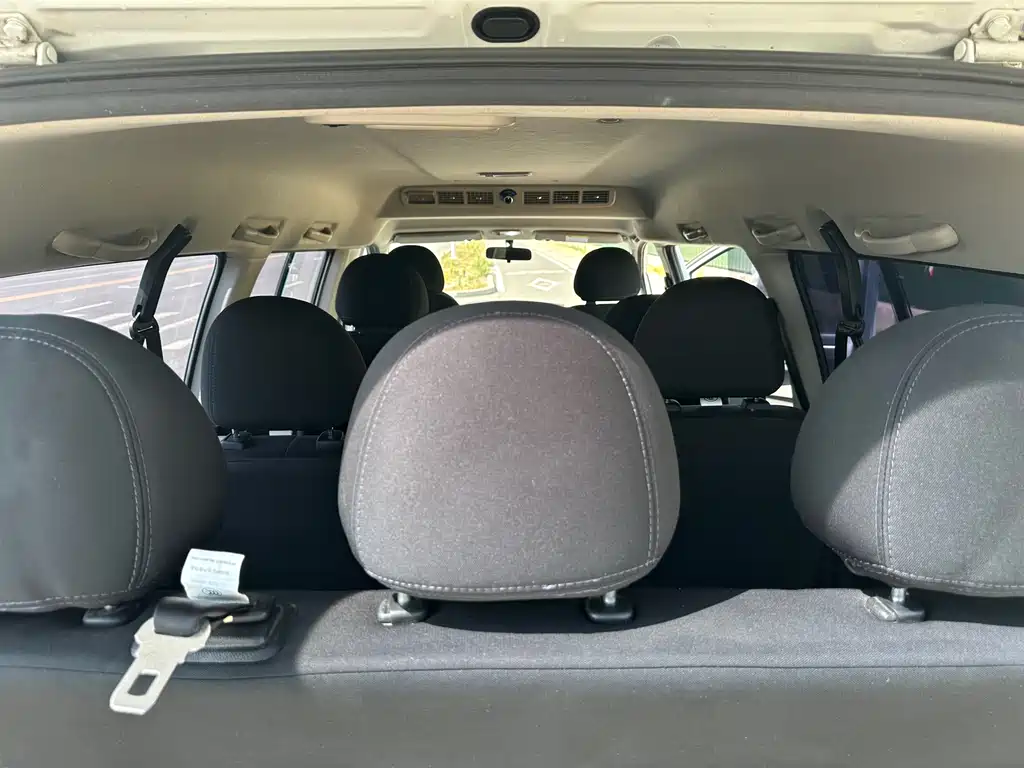 DONGFENG LINGZHI NEW ENERGY