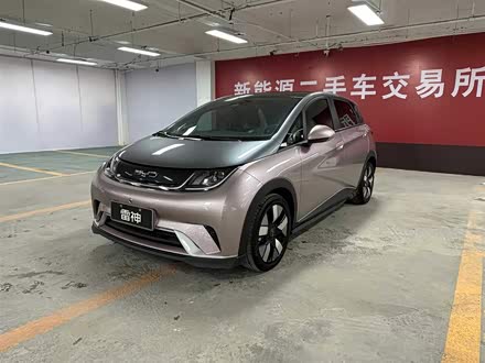 海豚 2021款 401km 骑士版