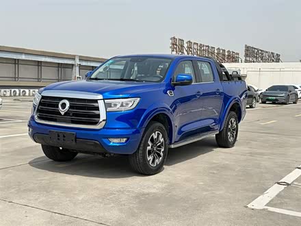 炮 2019款 2.0T自动汽油两驱舒适版GW4C20B