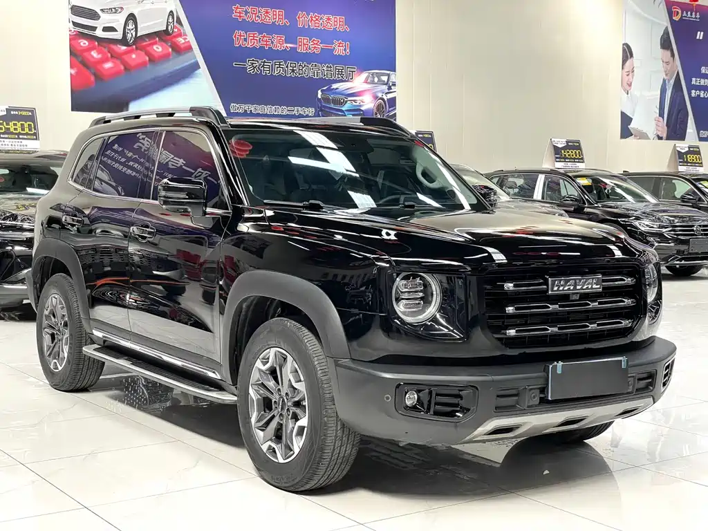 HAVAL  BIG DOG