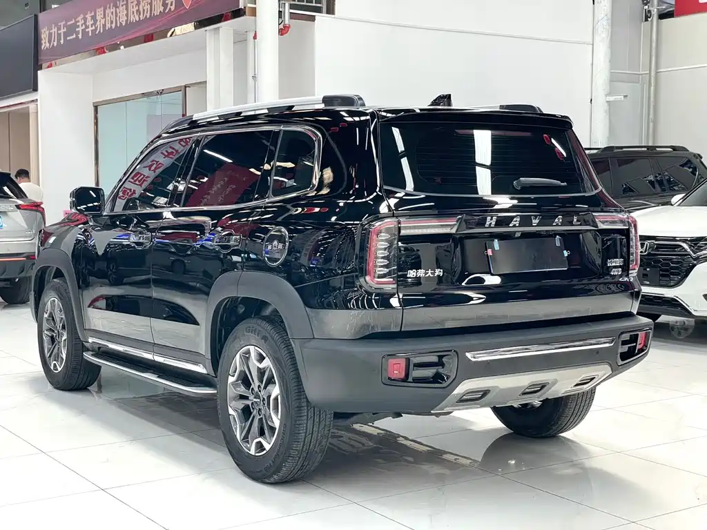 HAVAL  BIG DOG