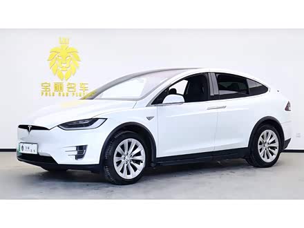 Model X 2016款 Model X 75D