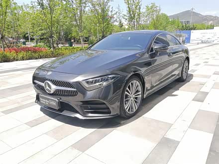 奔驰CLS 2020款 CLS 300 动感型