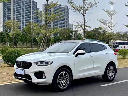 魏牌 VV5 2019款 升级款 2.0T 两驱超豪型 国V