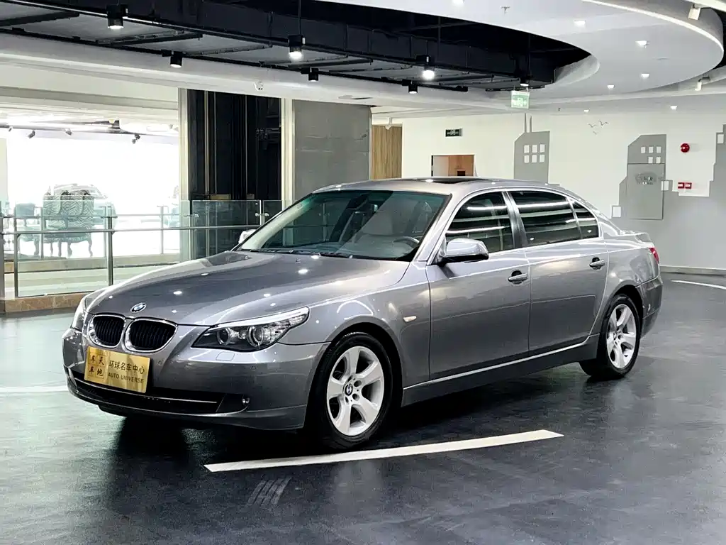 BMW 5 Series 2010