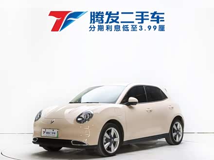 欧拉好猫 2021款 400km标准续航 雅典娜版 三元锂