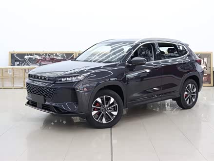 星途追风 2024款 1.5T CVT迅捷版