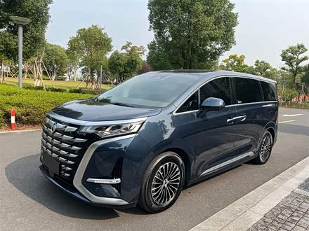 腾势D9 2022款 DM-i 1040 尊贵型