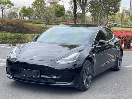 Model 3 2020款 改款 标准续航后驱升级版