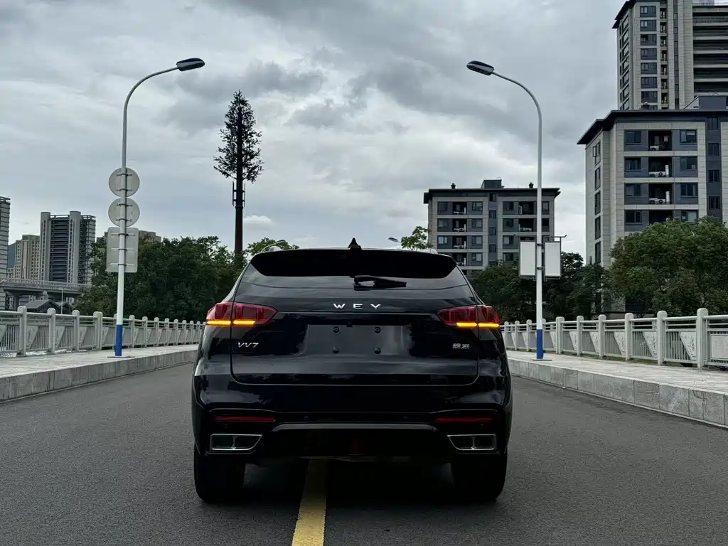 WEI PAI WEI BRAND VV7