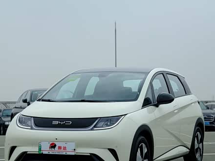 海豚 2023款 420km 时尚版