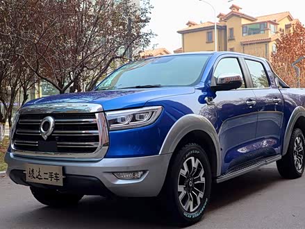 炮 2019款 2.0T自动汽油四驱尊享版GW4C20B