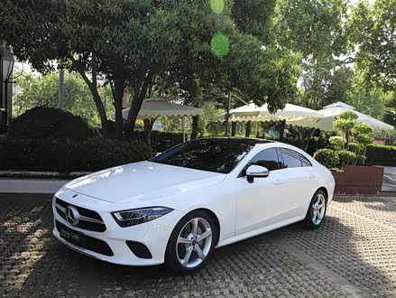 奔驰CLS 2018款 CLS 300 动感型