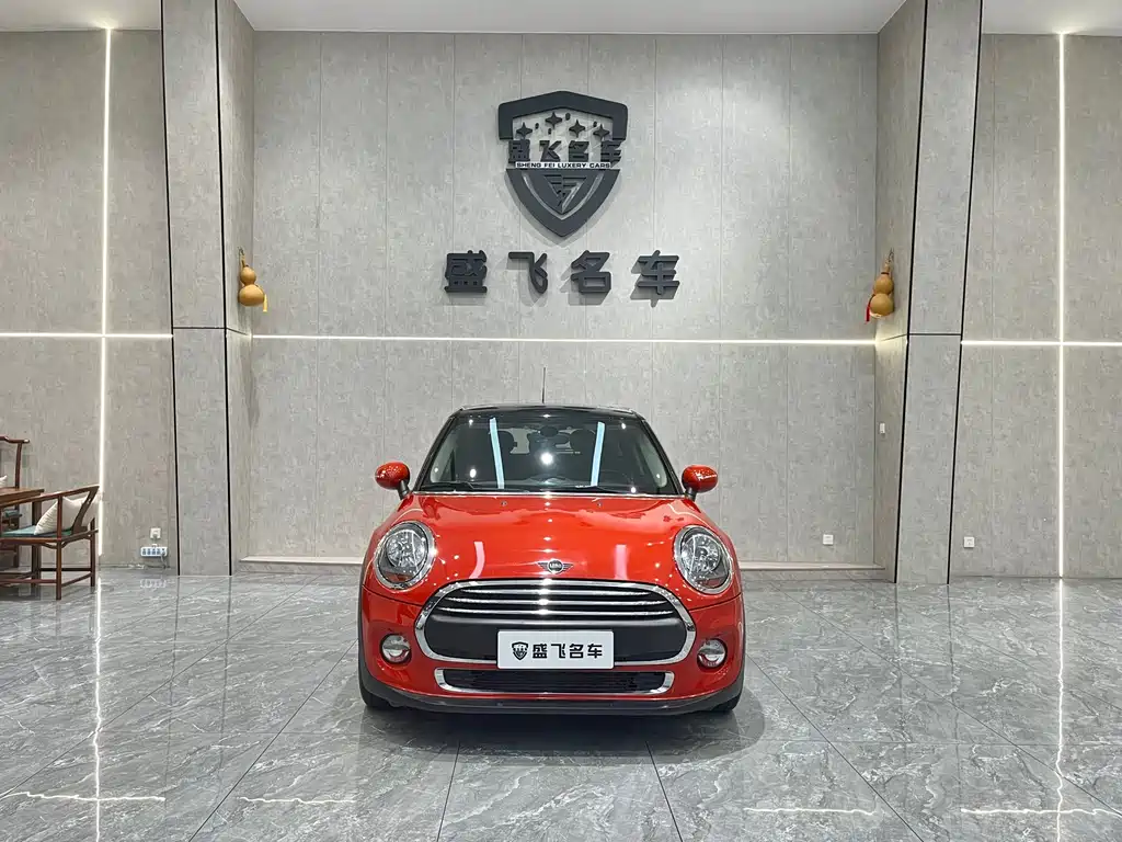 Mini Mini 2018