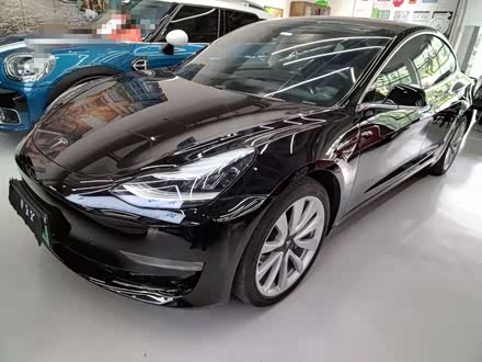Model 3进口 2019款 长续航后驱版