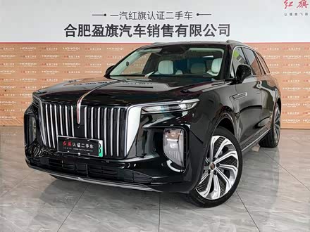 红旗E-HS9 2021款 510km 旗领版 四座