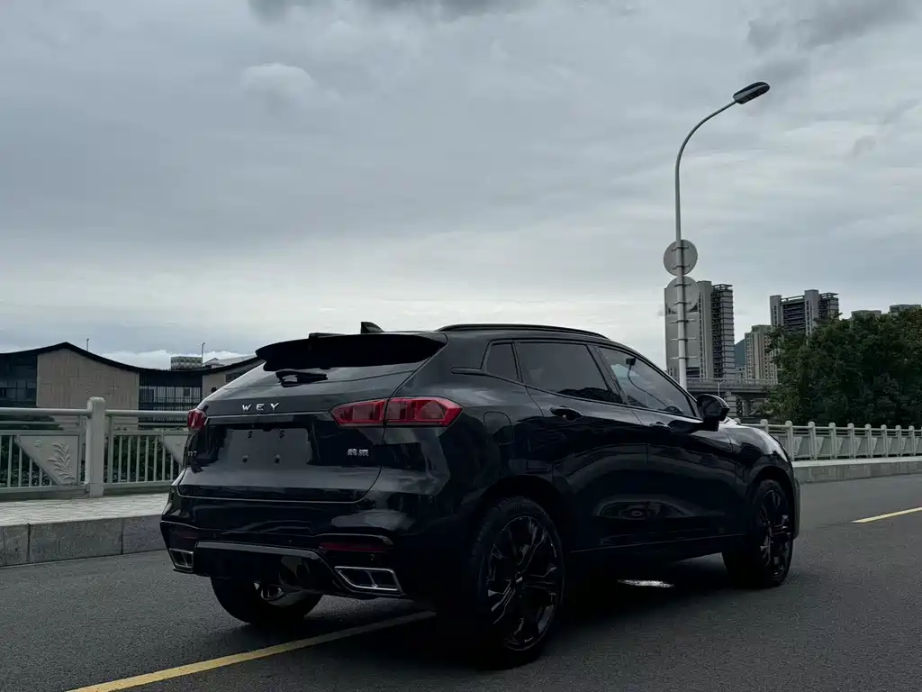 WEI PAI WEI BRAND VV7