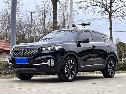 魏牌 VV6 2021款 2.0T 两驱智悦+