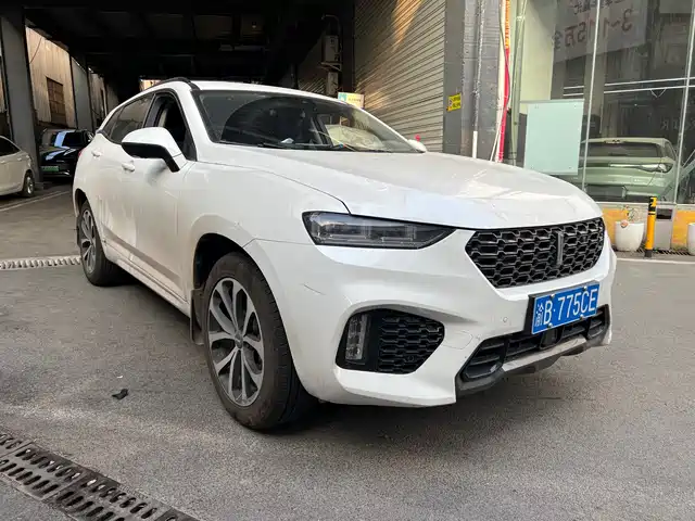 WEI PAI WEI BRAND VV7 2018