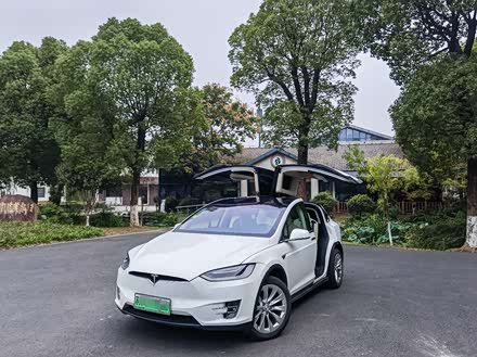 Model X 2017款 Model X 100D 长续航版