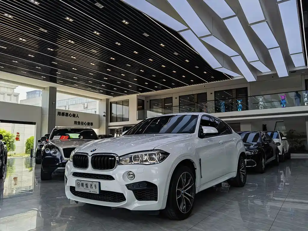 BMW X6 M
