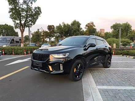魏牌 VV5 2019款 1.5T 两驱颜先锋