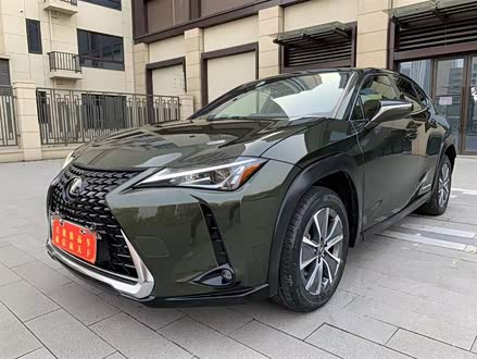 雷克萨斯UX新能源 2020款 300e 纯·悦版