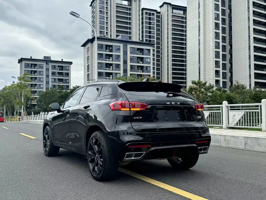 WEI PAI WEI BRAND VV7