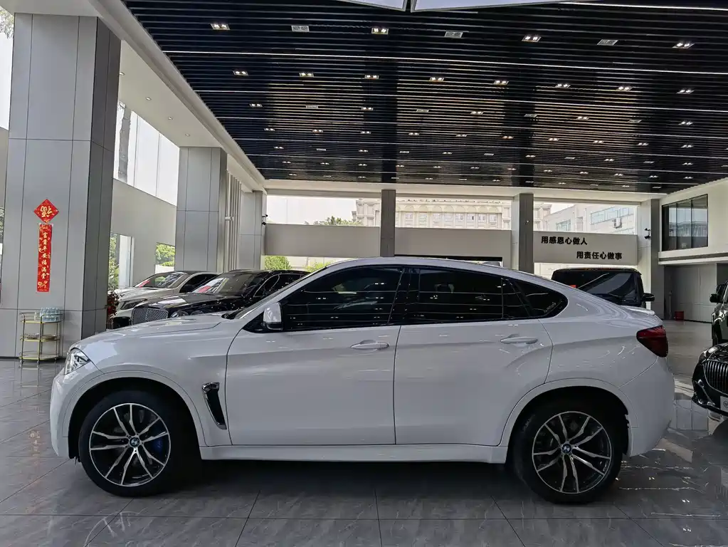 BMW X6 M
