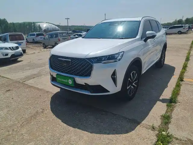 HAVAL  H6 2021