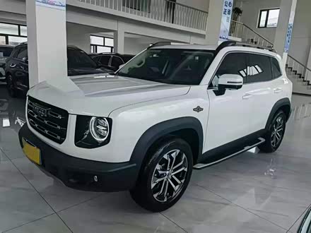 哈弗大狗 2021款 1.5T DCT两驱边牧版
