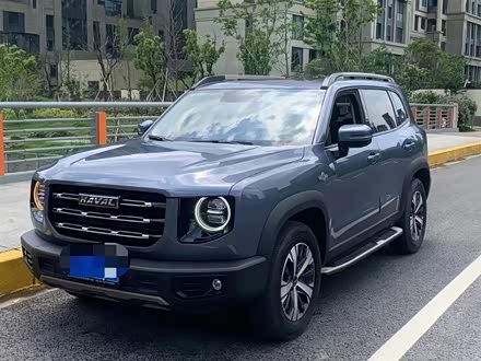 哈弗大狗 2021款 1.5T DCT两驱边牧版