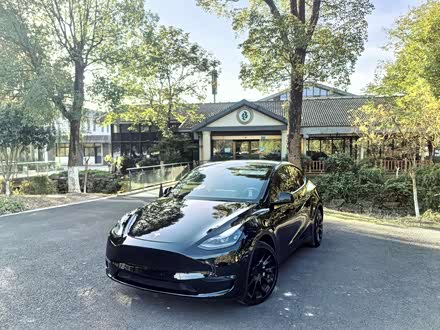 Model Y 2021款 标准续航后驱版