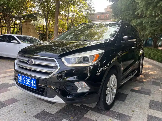 FORD WINGED TIGER 2018