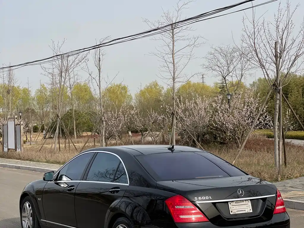 Mercedes-Benz S-Class S 2010 S 600 L