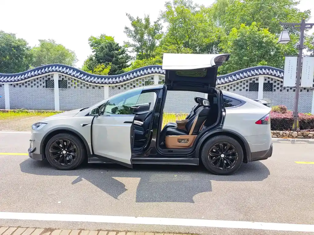 TESLA MODEL X