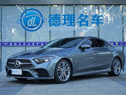 奔驰CLS 2021款 CLS 300 动感型