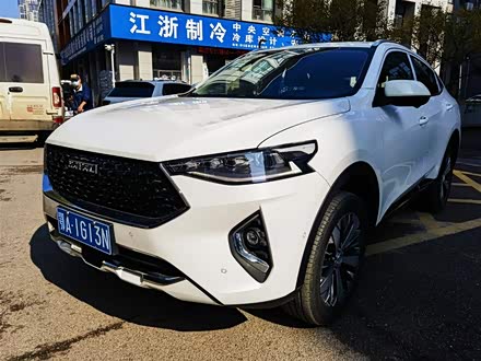 哈弗F7x 2019款 2.0T 两驱极智科技版