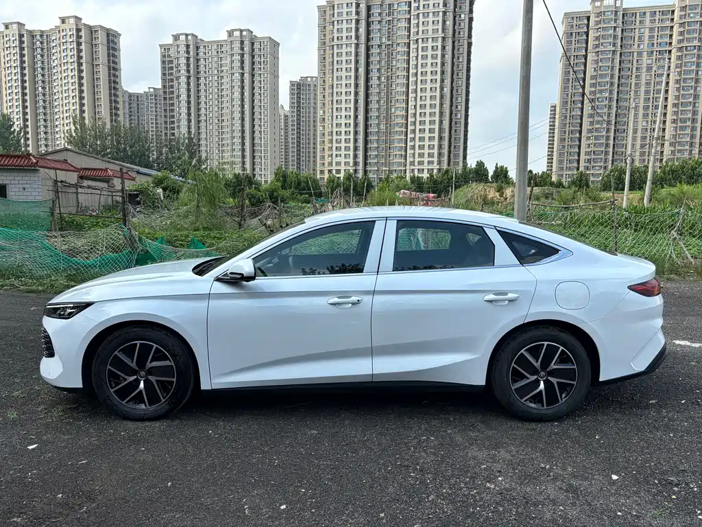 BYD QIN L