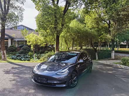Model 3进口 2019款 长续航后驱版