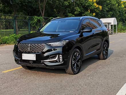 魏牌 VV6 2021款 2.0T 两驱智护+