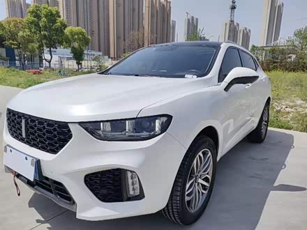 魏牌 VV5 2019款 升级款 2.0T 两驱超豪型 国V